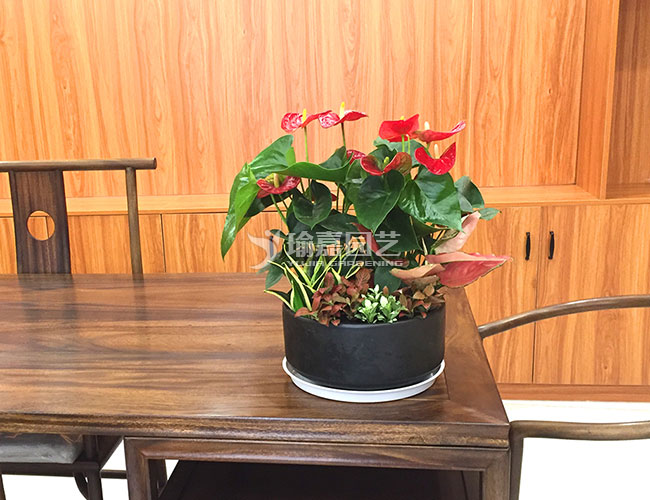 ������� ��Լ0.3-0.4��