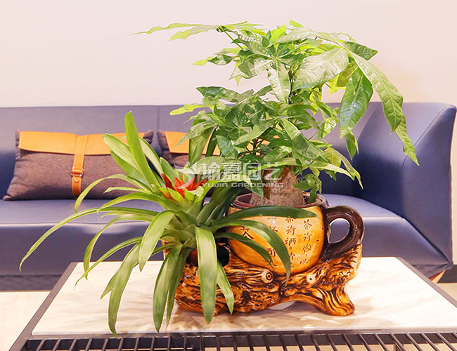 ��������Z002