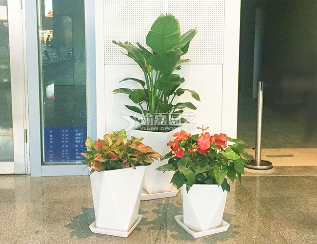 ��������&nbsp;��Լ0.9-1.0��