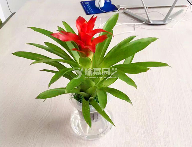 ˮ��С����