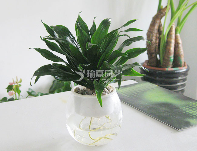 ˮ��̫����