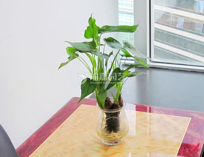 ˮ���ˮ����