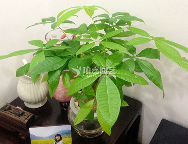 ˮ��С������