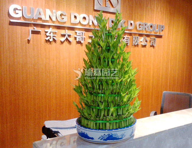 ��˲㸻����