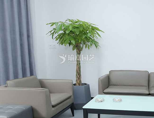 ���ӷ�����