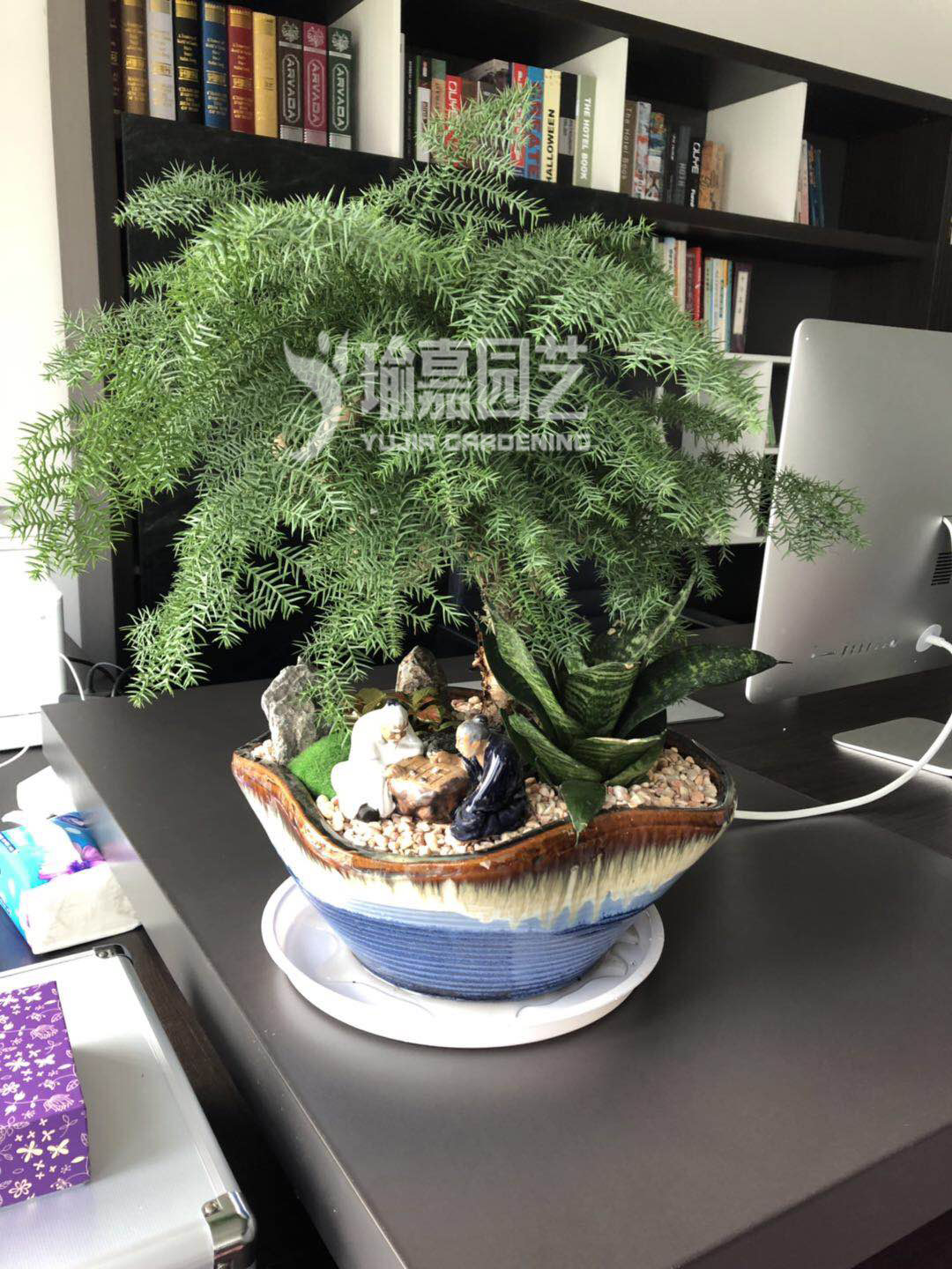 �����ɾ�Ʒ