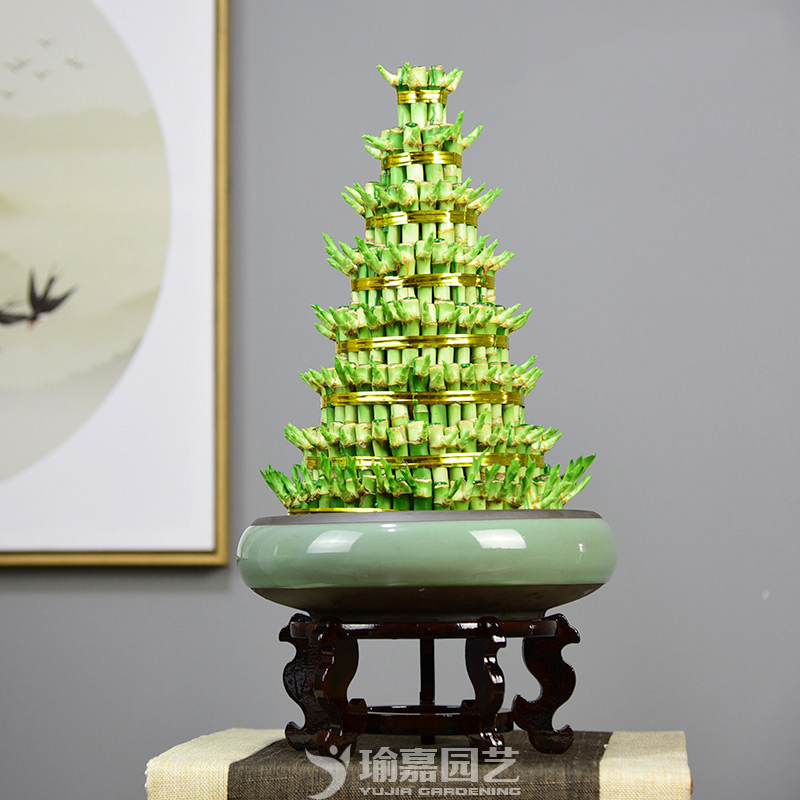 С�˲㸻����