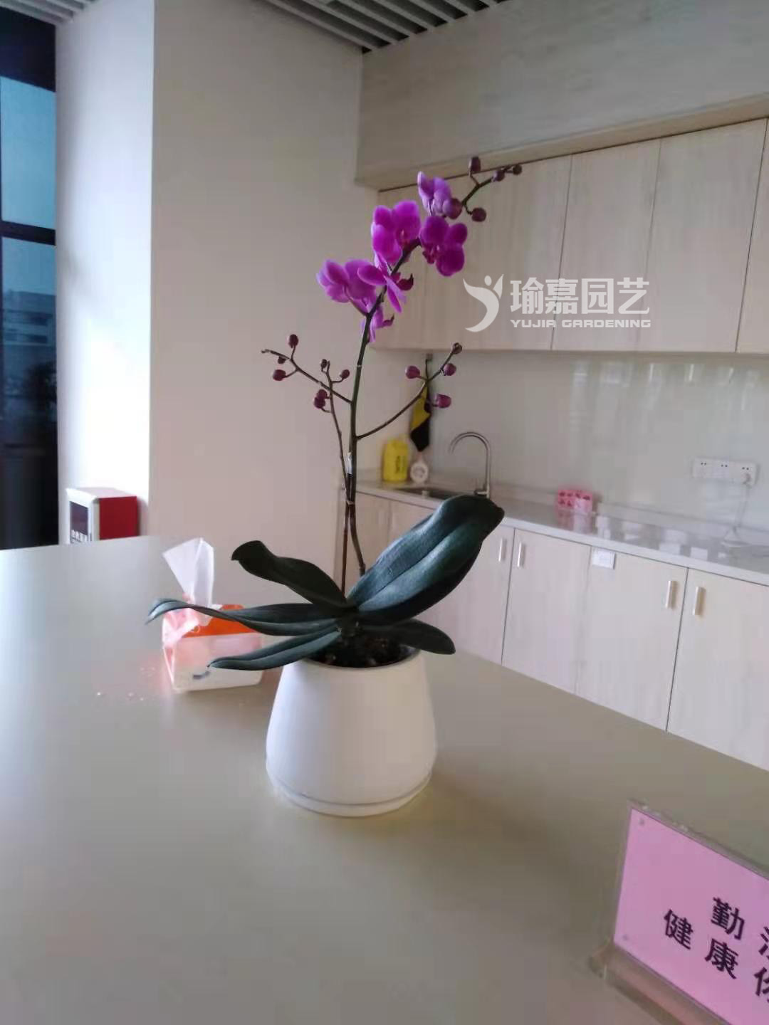 õ��ɫ������