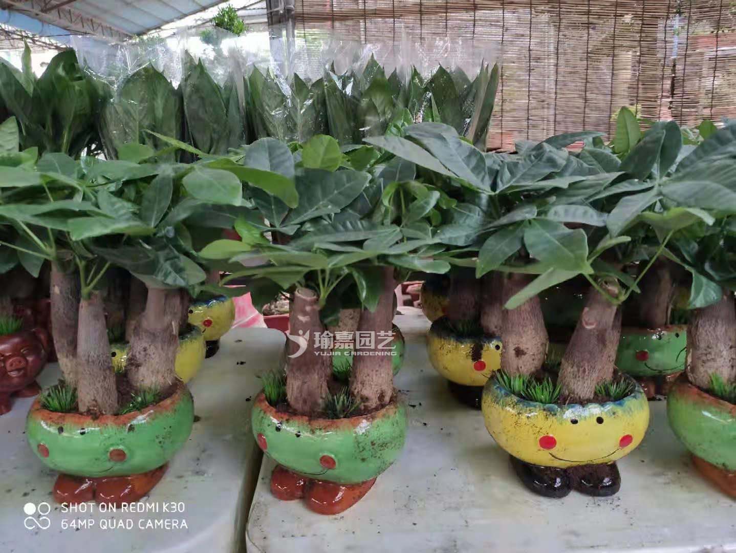 С������