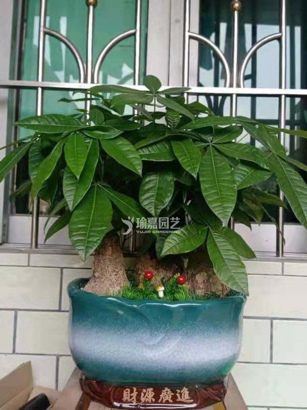 ��Ʒ���������