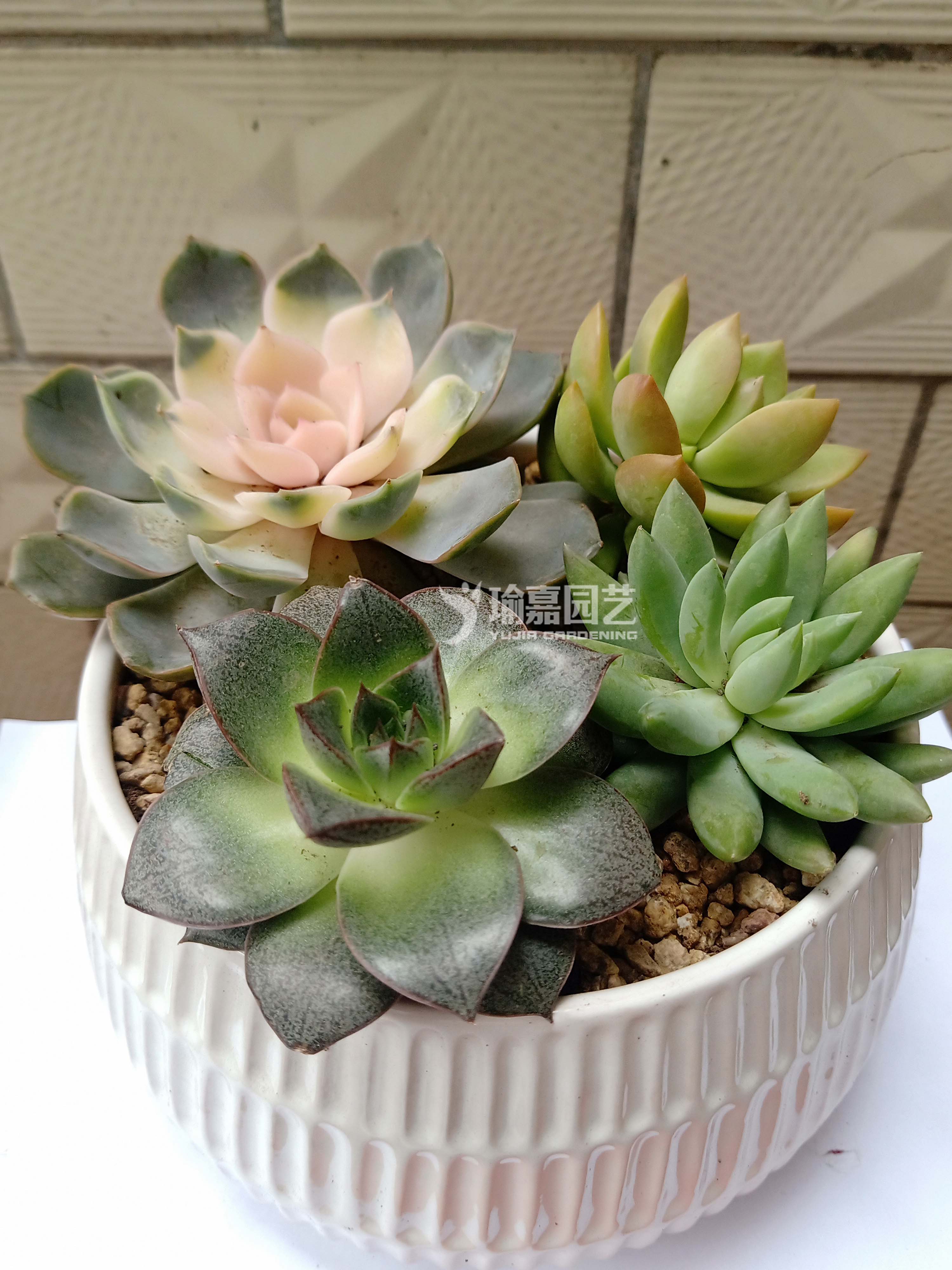 �������02