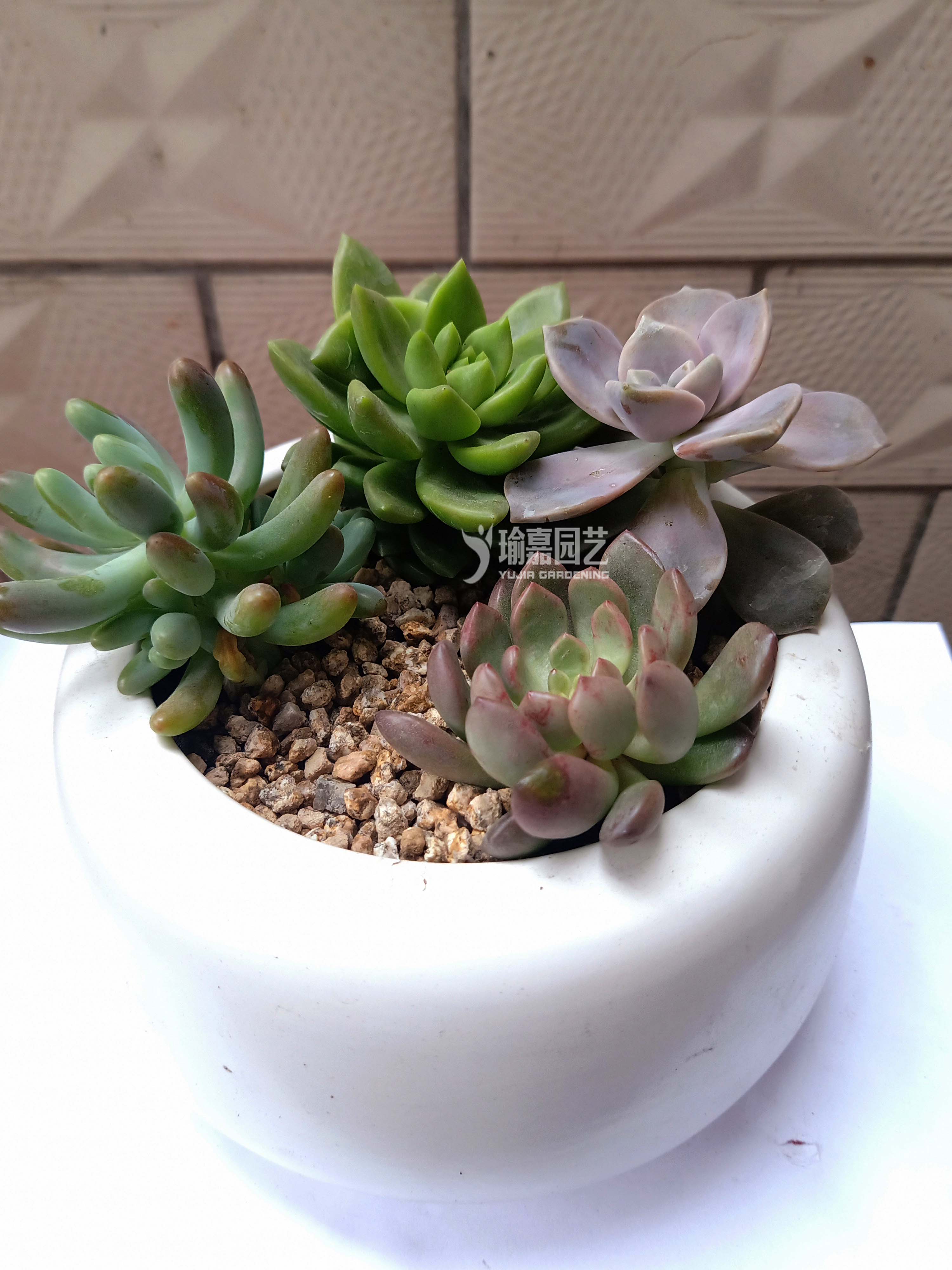 �������03